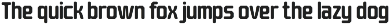 Barend - Brutalist Display Sans Font preview