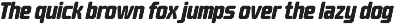 Barend - Brutalist Display Sans Font preview