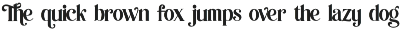 Widlething - modern serif font preview