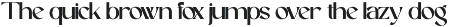 Onnega - Modern Elegant Serif Font preview
