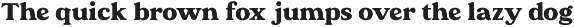 Caldor - Retro Serif Font preview