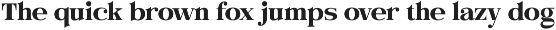 Evorine Stylish Serif preview