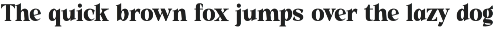 Quishe – Modern Elegant Serif preview
