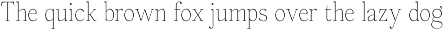Panasea | 12 Fonts preview