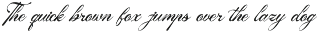 Tanya Kata | Handwritten Script preview