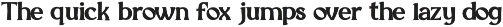 Mackora - Elegant Display Serif Font preview
