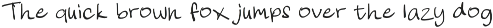Notevera Duo - Natural Handwritten preview