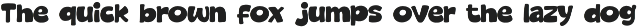 Trend Bold - Cozy & Display Font preview