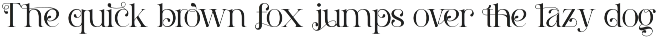 Practices Collection - Elegant Font preview