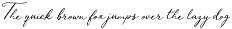 Vintage Elegance Script preview