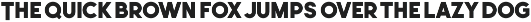 Leonardo Sans – 18 Styles preview