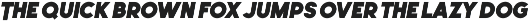 Leonardo Sans – 18 Styles preview