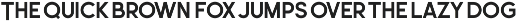 Leonardo Sans – 18 Styles preview