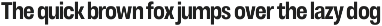 Otflag Sans preview