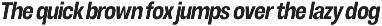 Otflag Sans preview