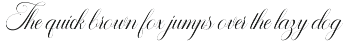 Sallintine Calligraphy preview