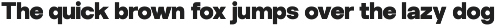 Racleys Font preview