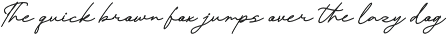 Pafilona | Monoline Script preview