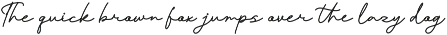 Pafilona | Monoline Script preview