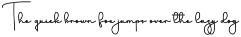Calligraphy Present preview