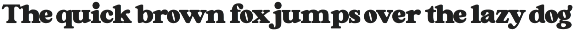Shafikon Font Duo preview