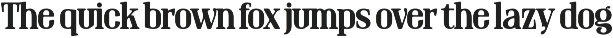 Rovas - Modern Serif Font preview