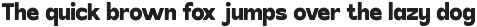 Brunko Bold Display Sans Serif Font preview