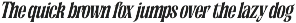Mognakin Serif Display Font preview