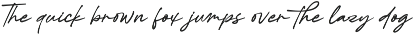 Karthins  Modern Signature Script preview