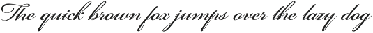 T-Shirt Script Bundle preview
