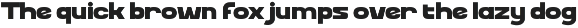 Sycoke Sans Bold Sans preview