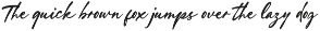 Barley Sign - Bold Signature Script preview