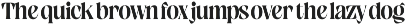 Crashed Bold Tall Serif preview