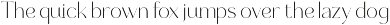 Selario Elegant Modern Sans Serif preview