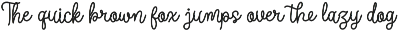 Joaguin Dignity | Monoline Script preview