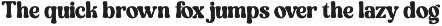 Royale Retro Whimsical Vintage Serif preview