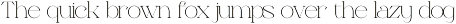 Neo Joel | Display Serif preview
