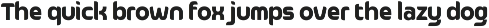 Ranked Professional Technology Font preview