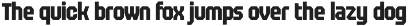 Punch - Display Condensed Sport Font preview