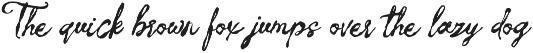 Letter of Berlin Classic Script Font preview