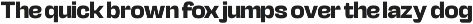 Foldix Bold Sans Serif preview