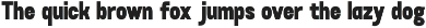 Bright Bloom Fun Display Font preview