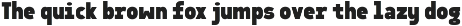 Sawith Mono - Monospaced Font Family preview