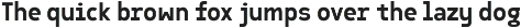 Sawith Mono - Monospaced Font Family preview