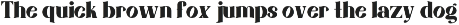 ManciNanci - Serif Font preview