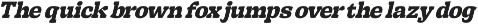 Brighty Snavs Bold Serif Display preview