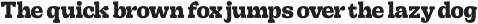 Brighty Snavs Bold Serif Display preview