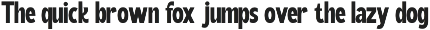 Regotta Bold Display Playful Font preview