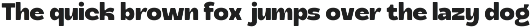 Bold Round Sans Font - Realic preview