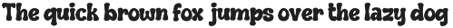 Wigglo - Bold Fun Retro Display Font preview
